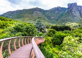 kirstenbosch_botanical_gardens